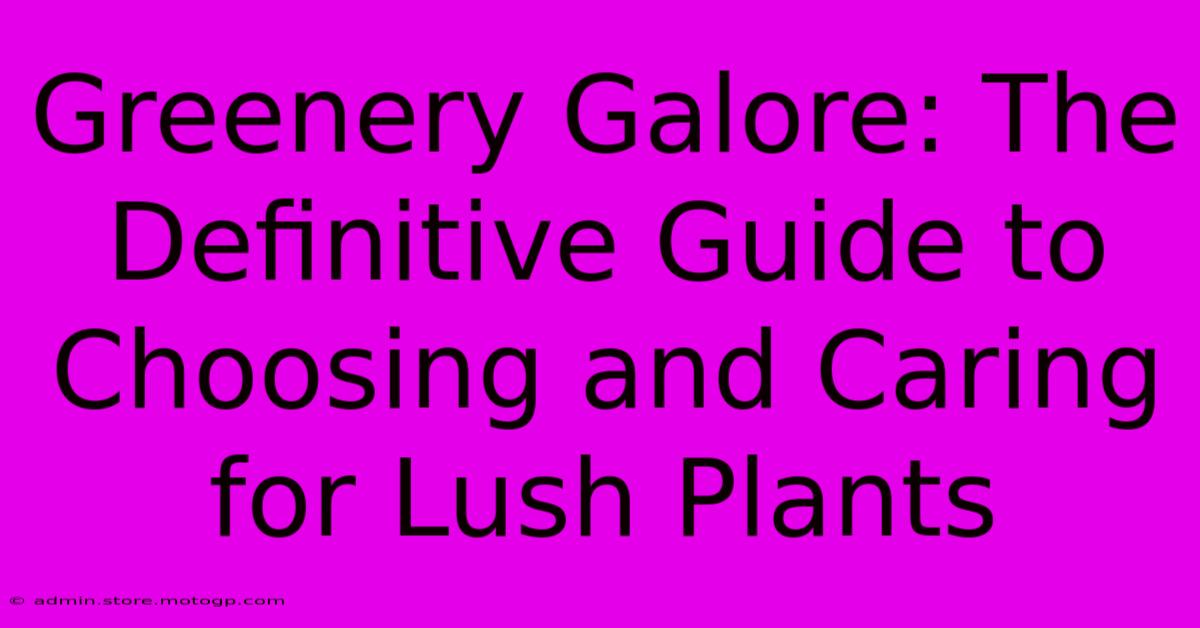 Greenery Galore: The Definitive Guide To Choosing And Caring For Lush Plants