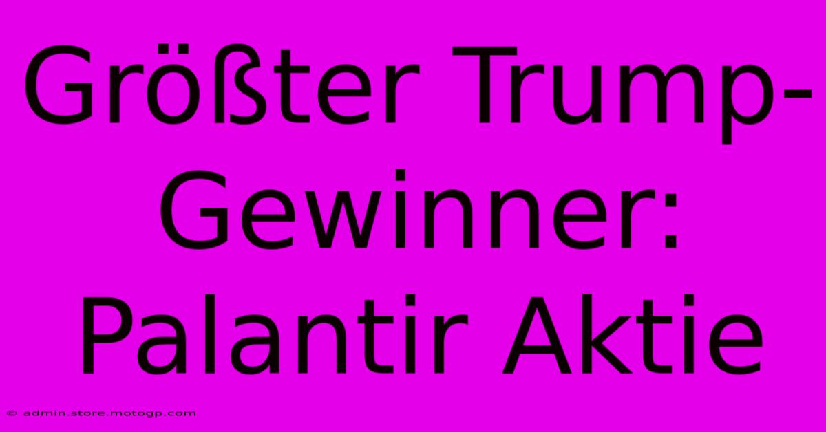 Größter Trump-Gewinner: Palantir Aktie