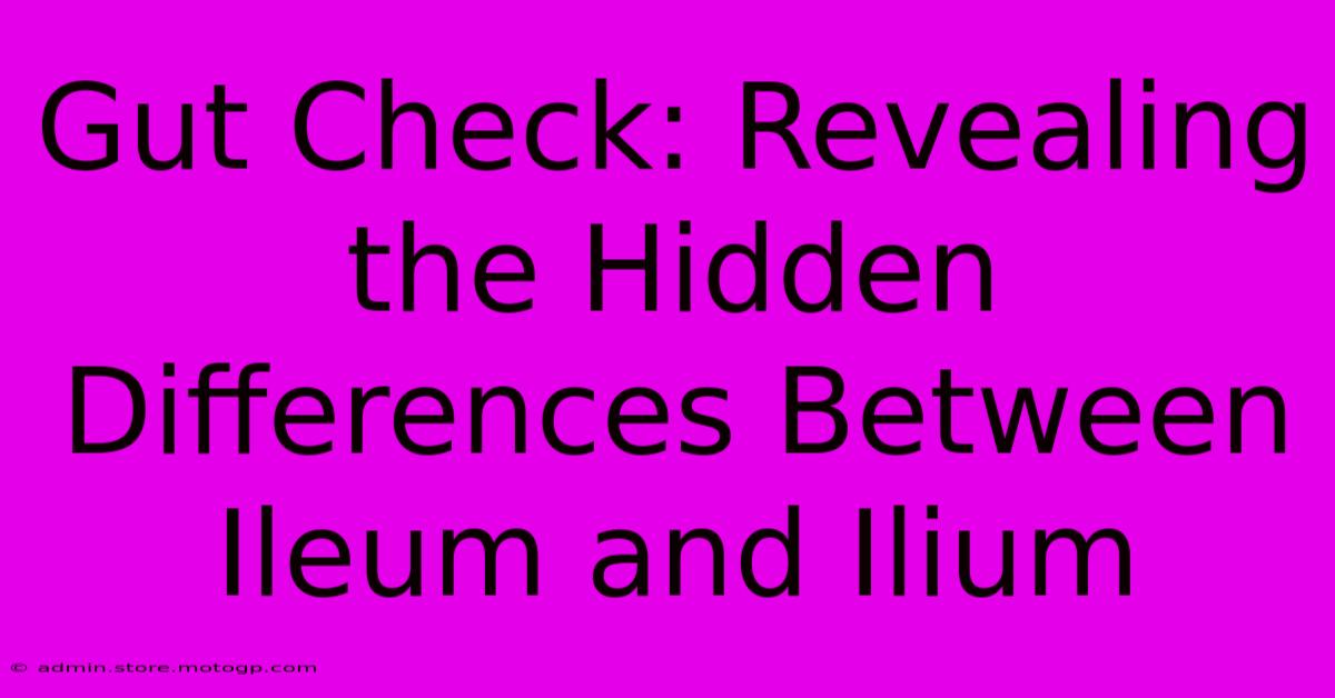 Gut Check: Revealing The Hidden Differences Between Ileum And Ilium