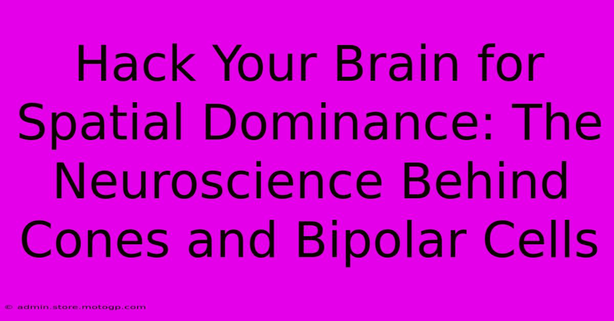 Hack Your Brain For Spatial Dominance: The Neuroscience Behind Cones And Bipolar Cells