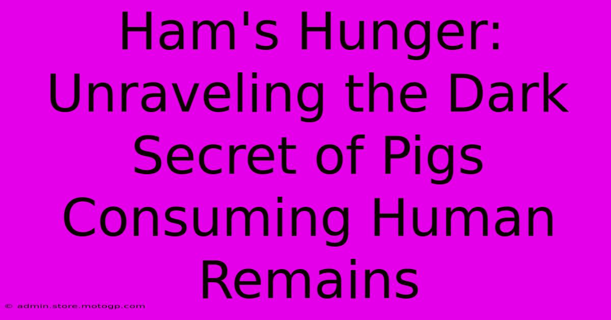 Ham's Hunger: Unraveling The Dark Secret Of Pigs Consuming Human Remains