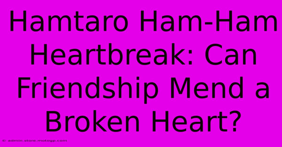 Hamtaro Ham-Ham Heartbreak: Can Friendship Mend A Broken Heart?