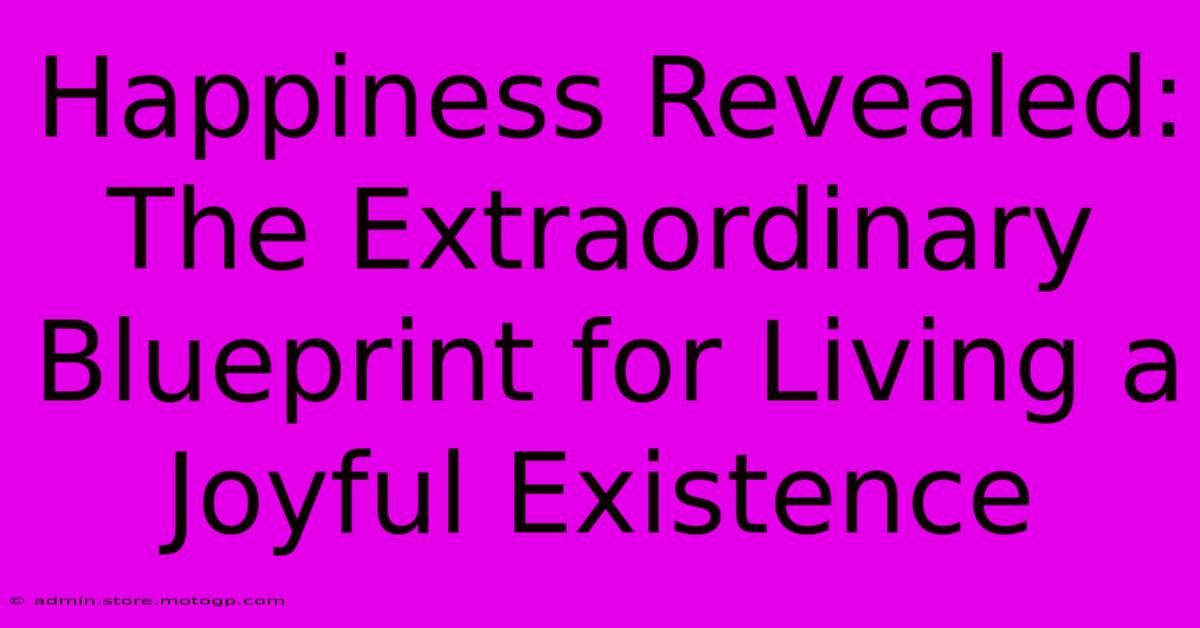 Happiness Revealed: The Extraordinary Blueprint For Living A Joyful Existence