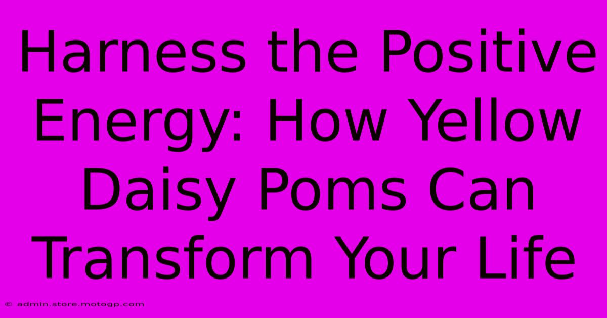 Harness The Positive Energy: How Yellow Daisy Poms Can Transform Your Life