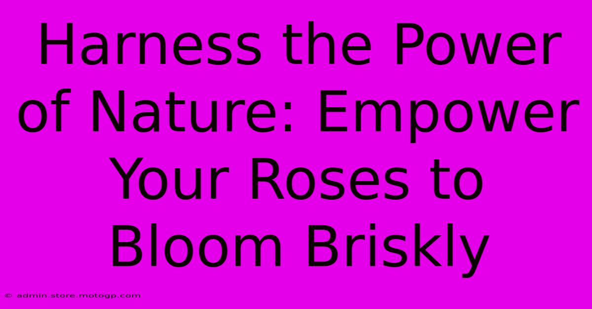 Harness The Power Of Nature: Empower Your Roses To Bloom Briskly