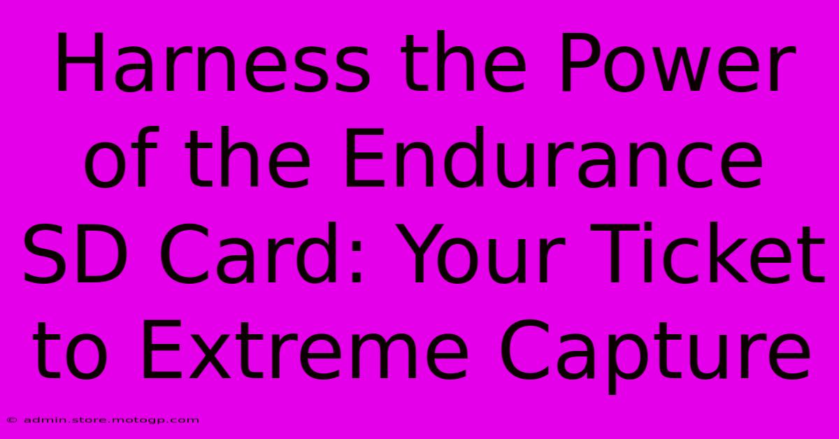 Harness The Power Of The Endurance SD Card: Your Ticket To Extreme Capture