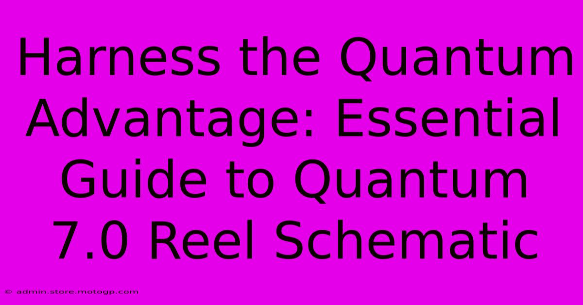 Harness The Quantum Advantage: Essential Guide To Quantum 7.0 Reel Schematic