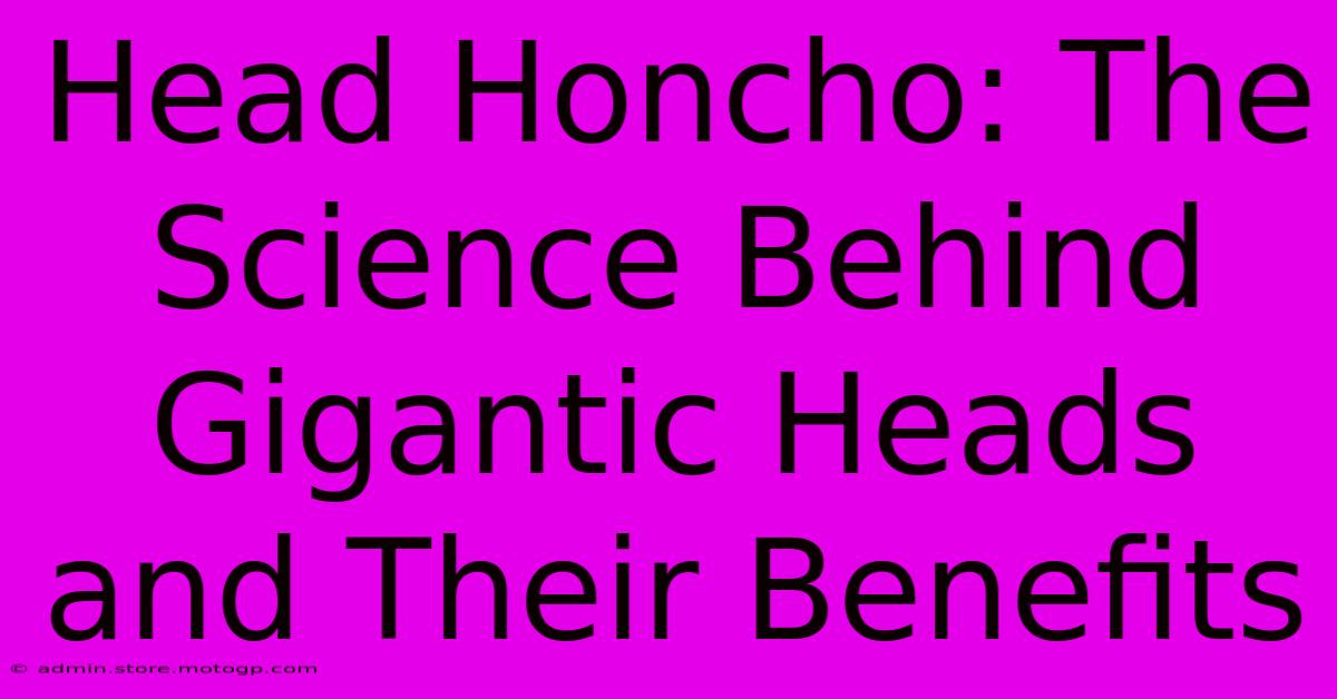 Head Honcho: The Science Behind Gigantic Heads And Their Benefits