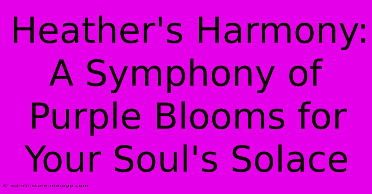 Heather's Harmony: A Symphony Of Purple Blooms For Your Soul's Solace