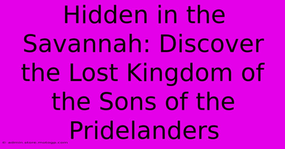 Hidden In The Savannah: Discover The Lost Kingdom Of The Sons Of The Pridelanders