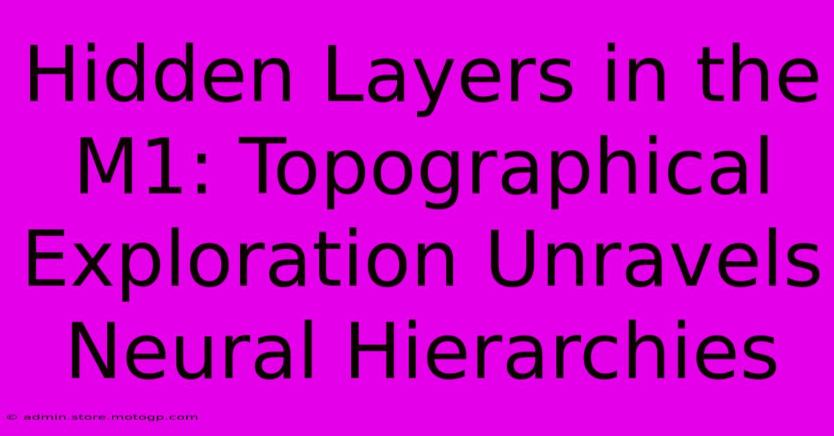 Hidden Layers In The M1: Topographical Exploration Unravels Neural Hierarchies