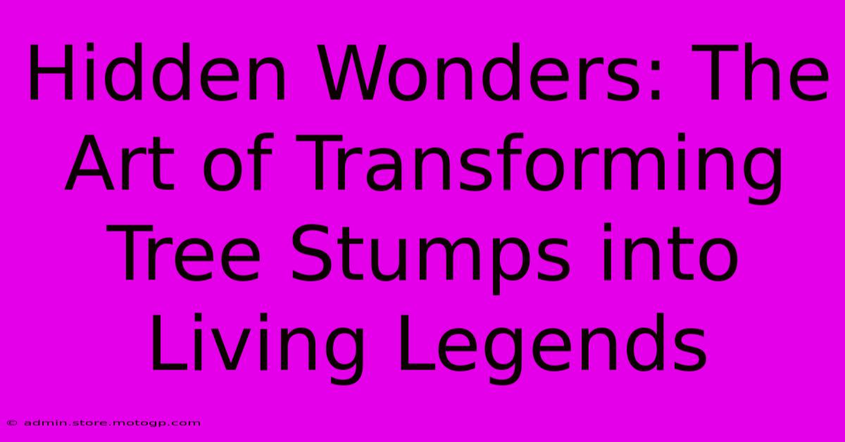 Hidden Wonders: The Art Of Transforming Tree Stumps Into Living Legends