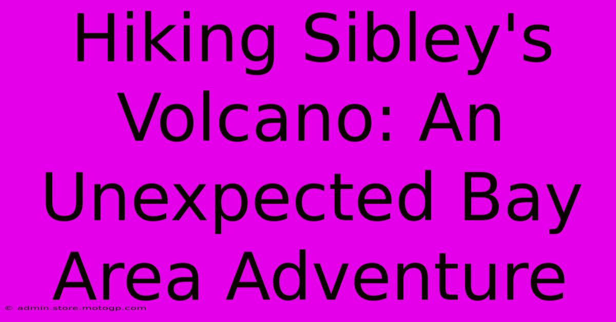 Hiking Sibley's Volcano: An Unexpected Bay Area Adventure