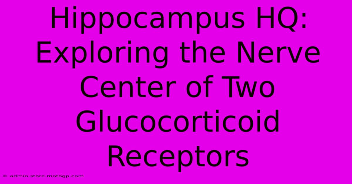 Hippocampus HQ: Exploring The Nerve Center Of Two Glucocorticoid Receptors