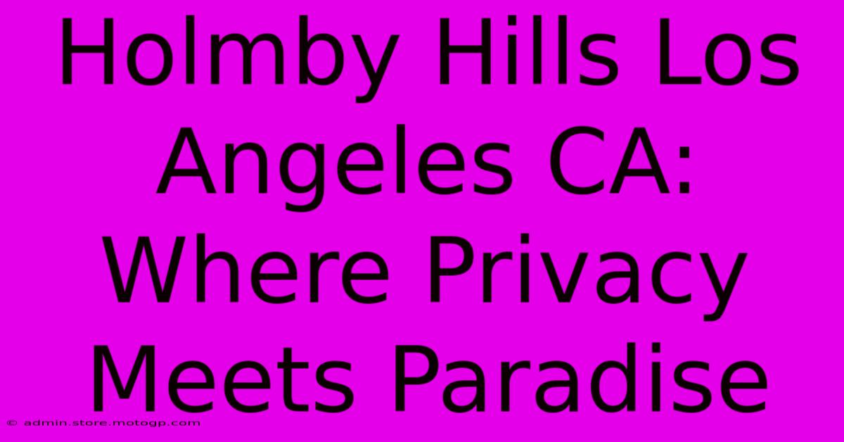 Holmby Hills Los Angeles CA: Where Privacy Meets Paradise