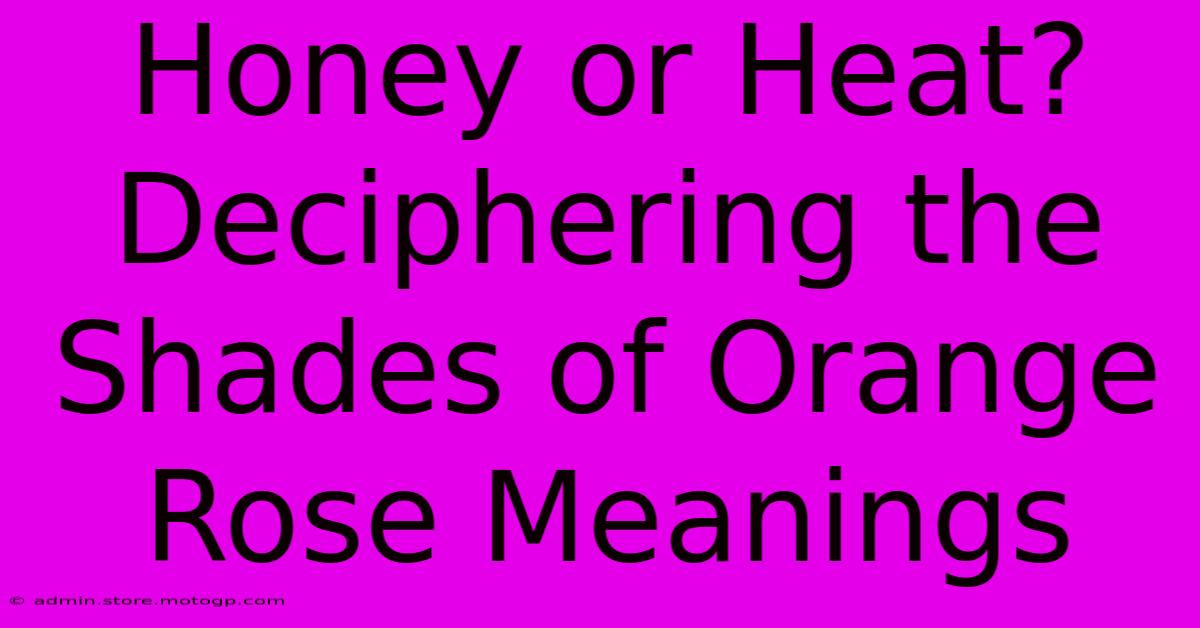 Honey Or Heat? Deciphering The Shades Of Orange Rose Meanings