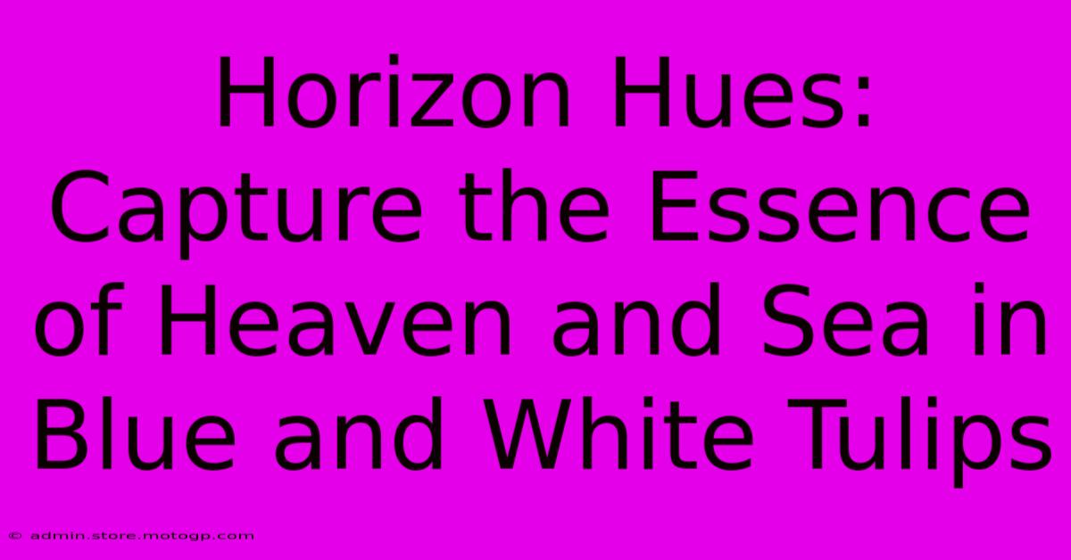 Horizon Hues: Capture The Essence Of Heaven And Sea In Blue And White Tulips