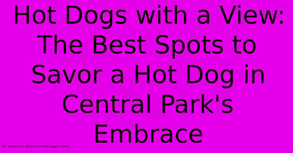 Hot Dogs With A View: The Best Spots To Savor A Hot Dog In Central Park's Embrace