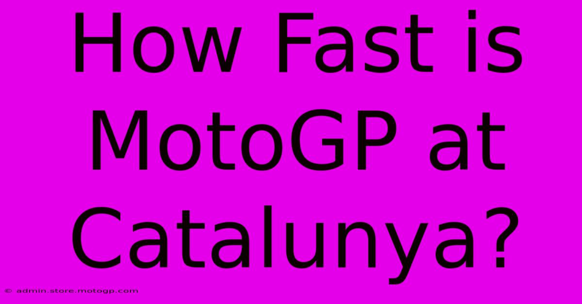 How Fast Is MotoGP At Catalunya?