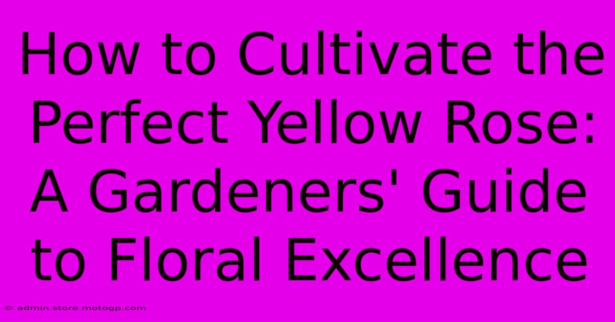 How To Cultivate The Perfect Yellow Rose: A Gardeners' Guide To Floral Excellence