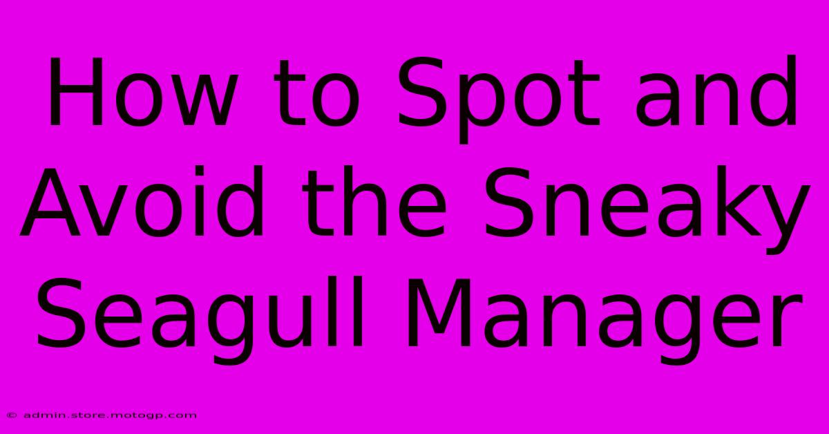 How To Spot And Avoid The Sneaky Seagull Manager