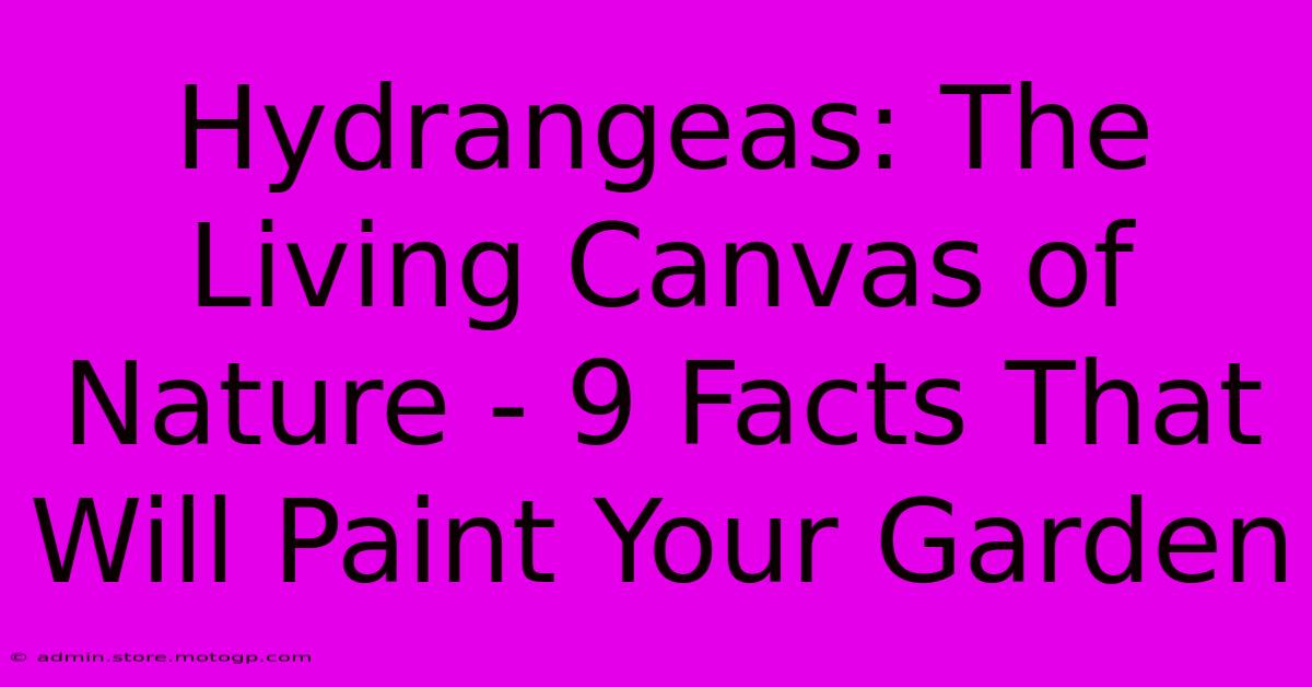 Hydrangeas: The Living Canvas Of Nature - 9 Facts That Will Paint Your Garden