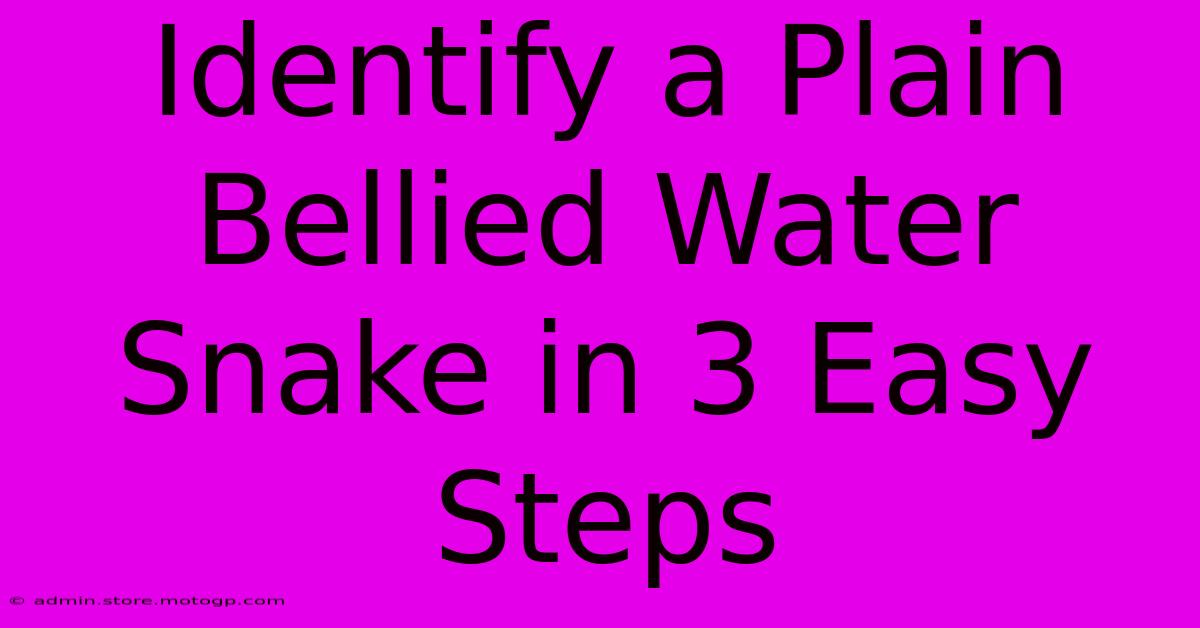 Identify A Plain Bellied Water Snake In 3 Easy Steps