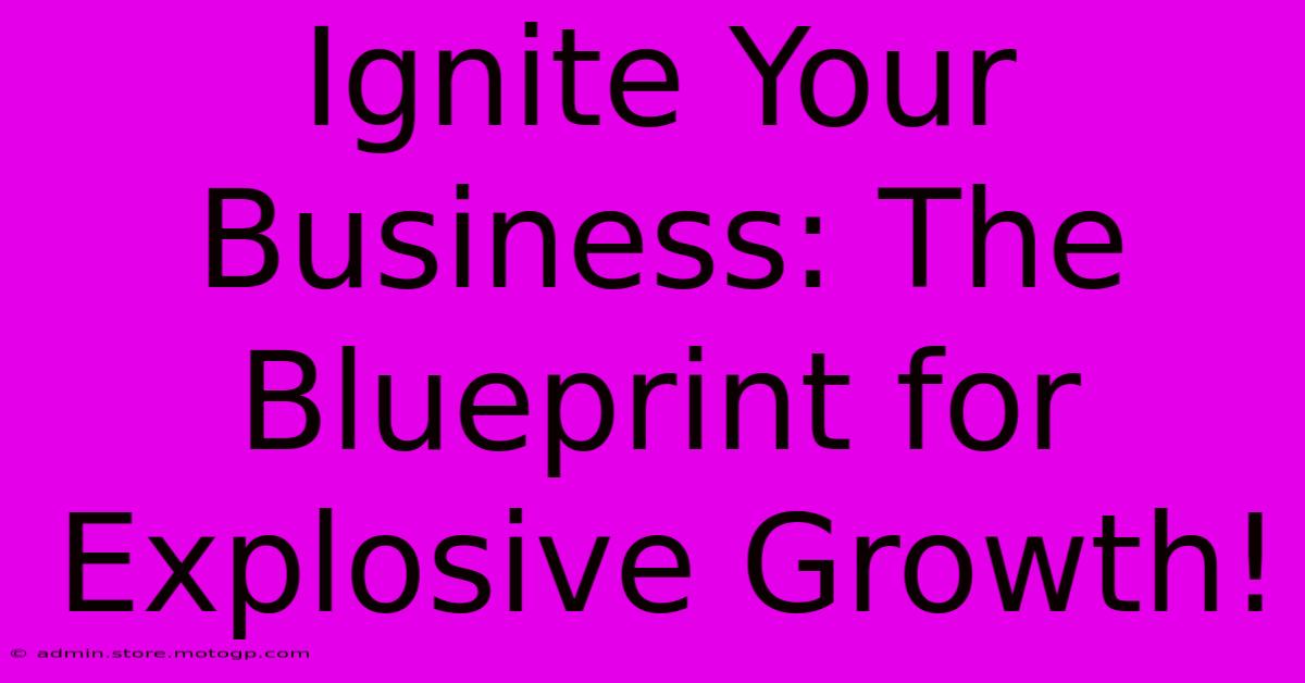 Ignite Your Business: The Blueprint For Explosive Growth!