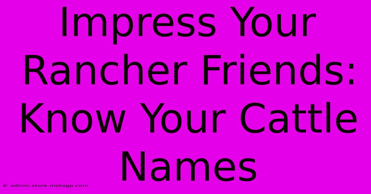 Impress Your Rancher Friends:  Know Your Cattle Names