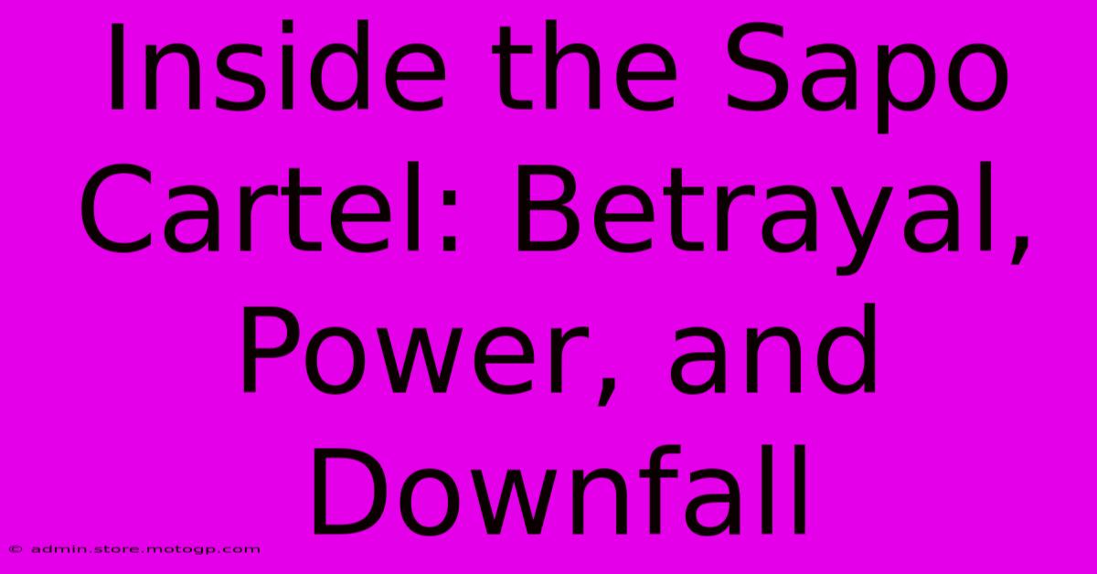 Inside The Sapo Cartel: Betrayal, Power, And Downfall