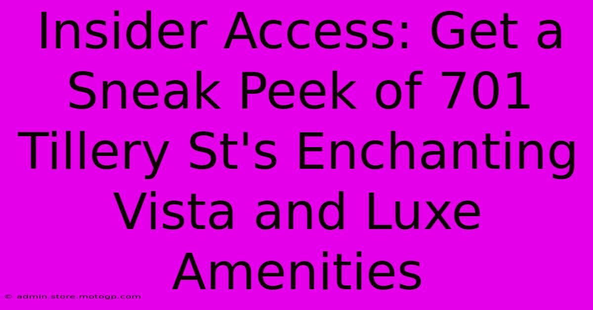 Insider Access: Get A Sneak Peek Of 701 Tillery St's Enchanting Vista And Luxe Amenities