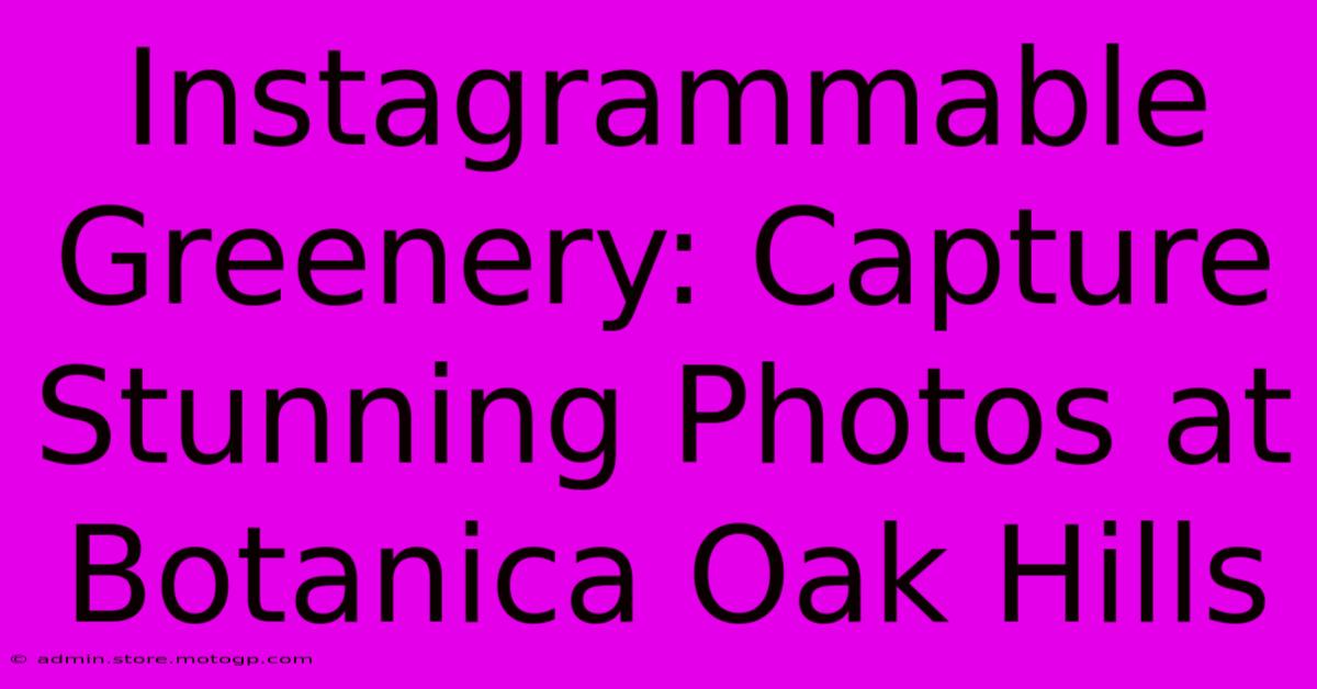 Instagrammable Greenery: Capture Stunning Photos At Botanica Oak Hills