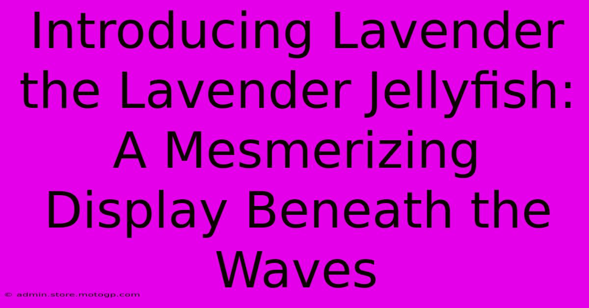 Introducing Lavender The Lavender Jellyfish: A Mesmerizing Display Beneath The Waves