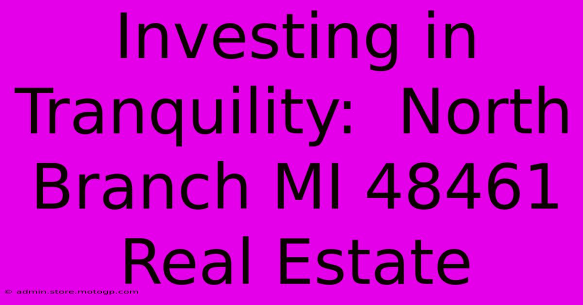 Investing In Tranquility:  North Branch MI 48461 Real Estate