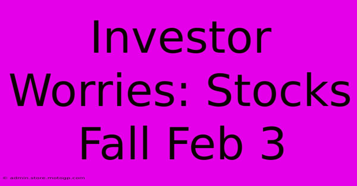 Investor Worries: Stocks Fall Feb 3