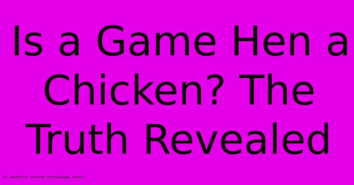 Is A Game Hen A Chicken? The Truth Revealed