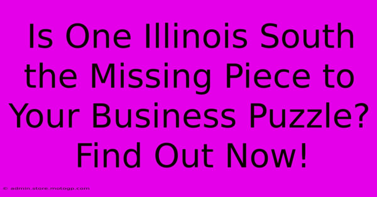 Is One Illinois South The Missing Piece To Your Business Puzzle? Find Out Now!