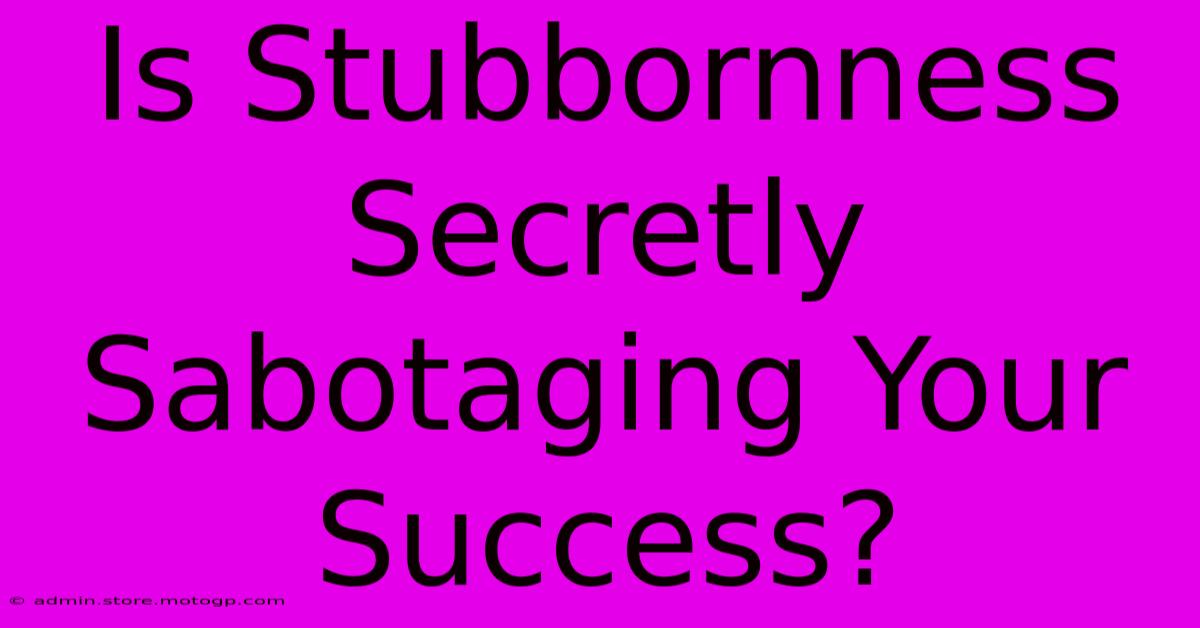 Is Stubbornness Secretly Sabotaging Your Success?