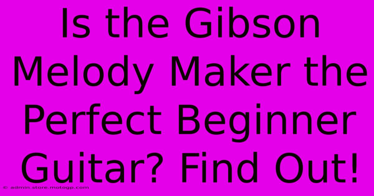 Is The Gibson Melody Maker The Perfect Beginner Guitar? Find Out!