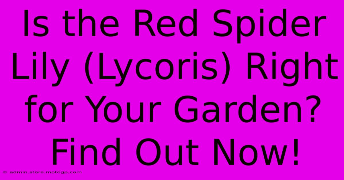 Is The Red Spider Lily (Lycoris) Right For Your Garden? Find Out Now!