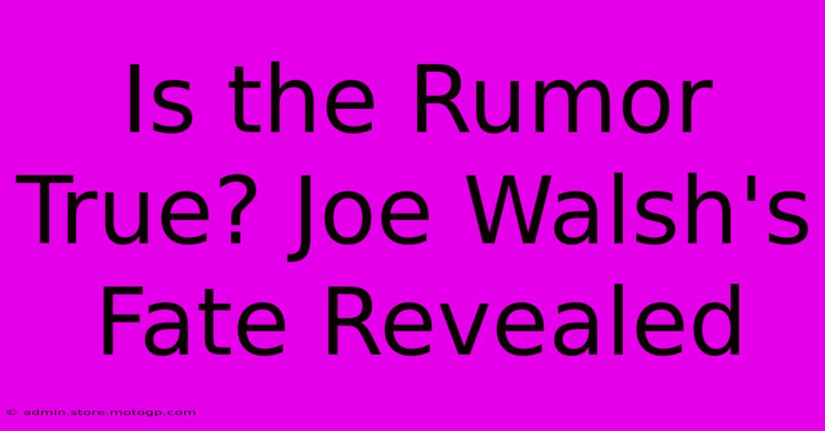 Is The Rumor True? Joe Walsh's Fate Revealed