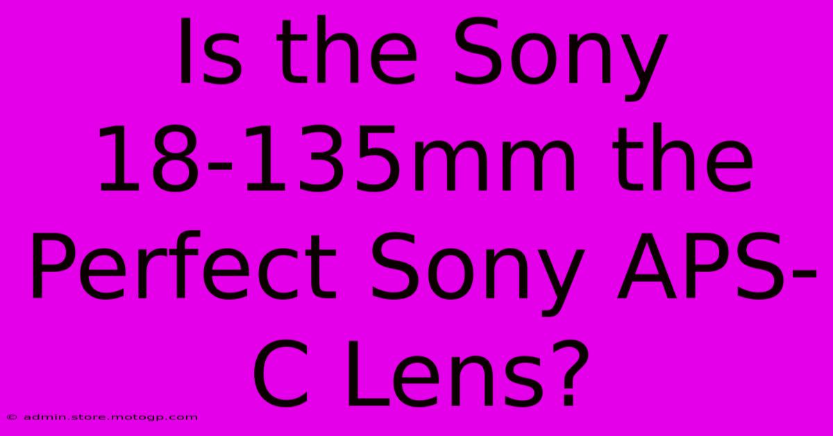 Is The Sony 18-135mm The Perfect Sony APS-C Lens?