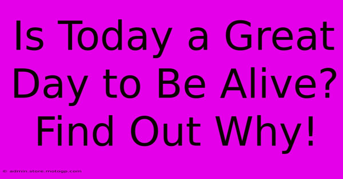 Is Today A Great Day To Be Alive? Find Out Why!