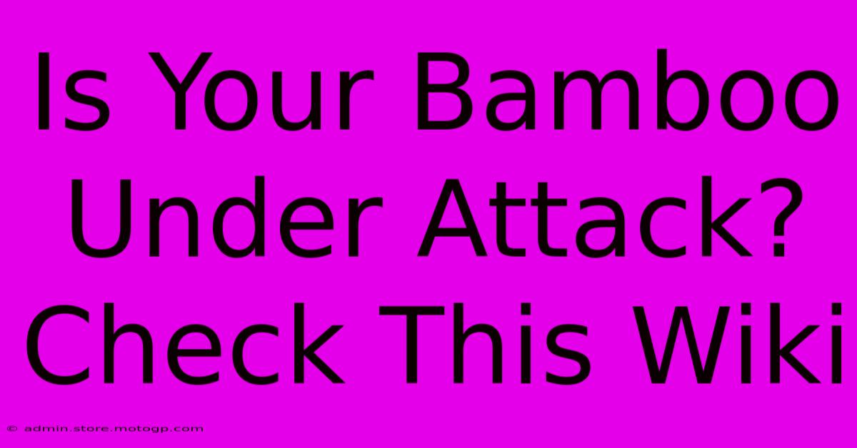 Is Your Bamboo Under Attack? Check This Wiki