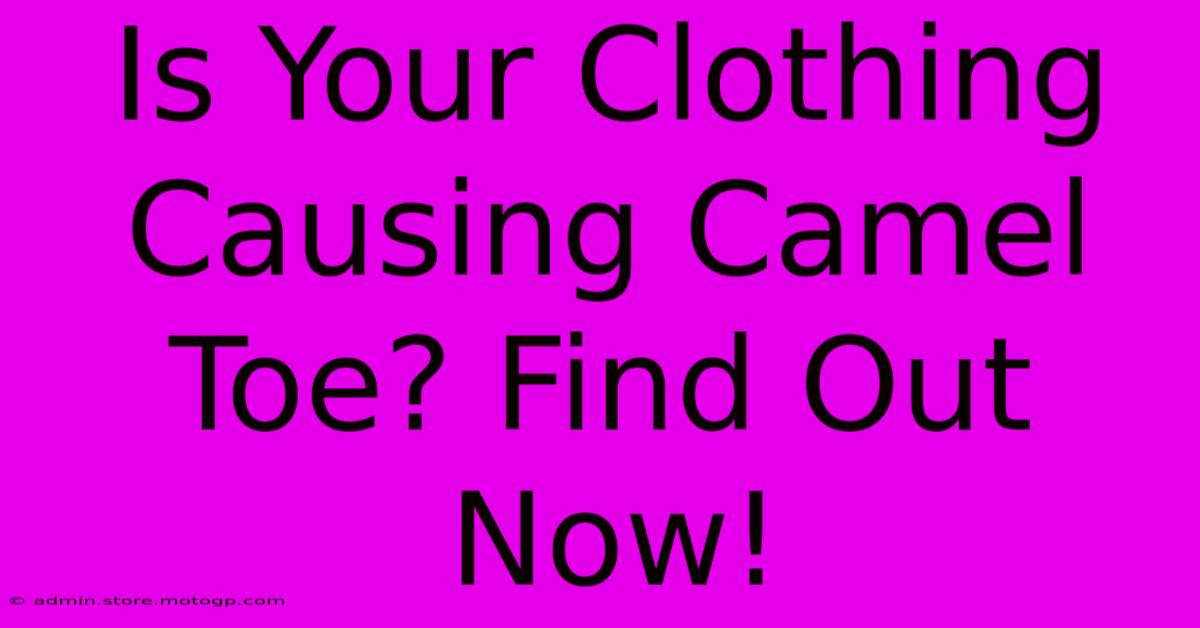 Is Your Clothing Causing Camel Toe? Find Out Now!