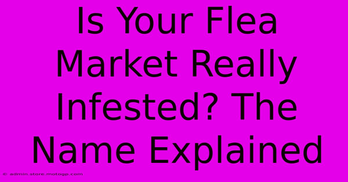 Is Your Flea Market Really Infested? The Name Explained