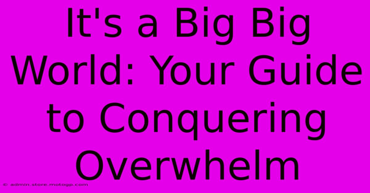 It's A Big Big World: Your Guide To Conquering Overwhelm