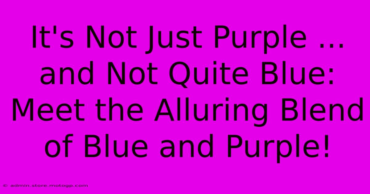 It's Not Just Purple ... And Not Quite Blue: Meet The Alluring Blend Of Blue And Purple!