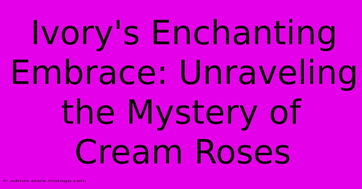 Ivory's Enchanting Embrace: Unraveling The Mystery Of Cream Roses