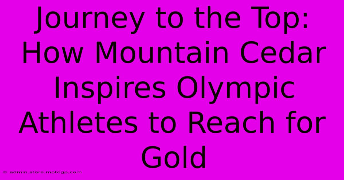 Journey To The Top: How Mountain Cedar Inspires Olympic Athletes To Reach For Gold